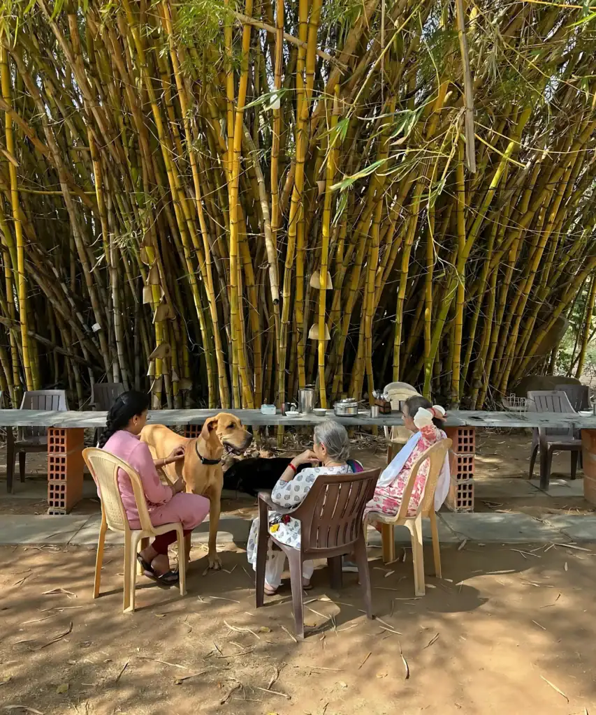 Seniors relaxing at Dee Mandala farm on a Sunday
