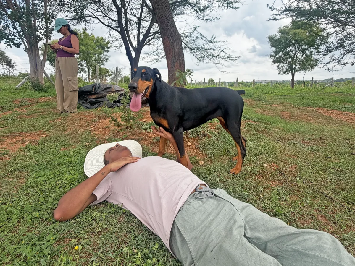 Rahul Jauhari, founder of Earthness™, taking a nap under the tree.